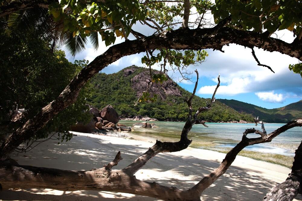 Le Domaine De La Reserve Anse Volbert Village Eksteriør bilde